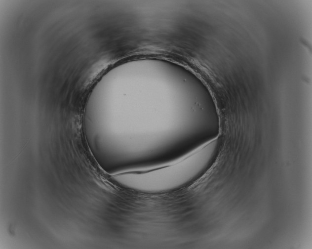 X0000090951355200708301130