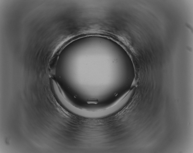 X0000090951356200708301130