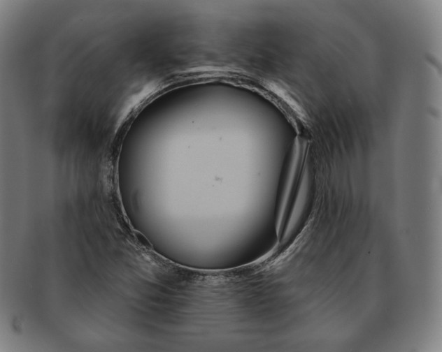 X0000090951357200708301130
