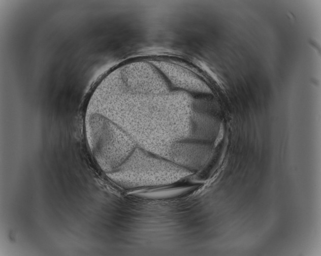 X0000090951358200708301130