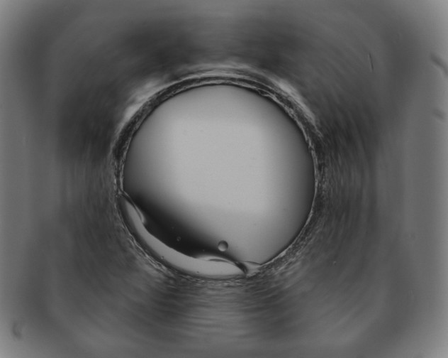 X0000090951360200708301130