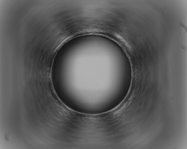 X0000090951361200708301130