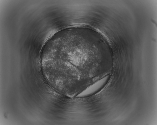 X0000090951362200708301130