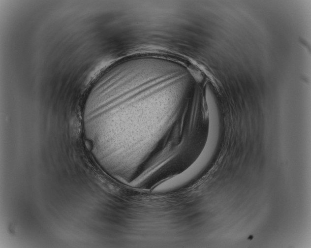 X0000090951363200708301130
