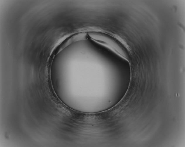 X0000090951364200708301130