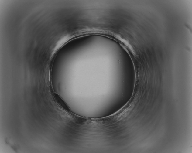 X0000090951365200708301130