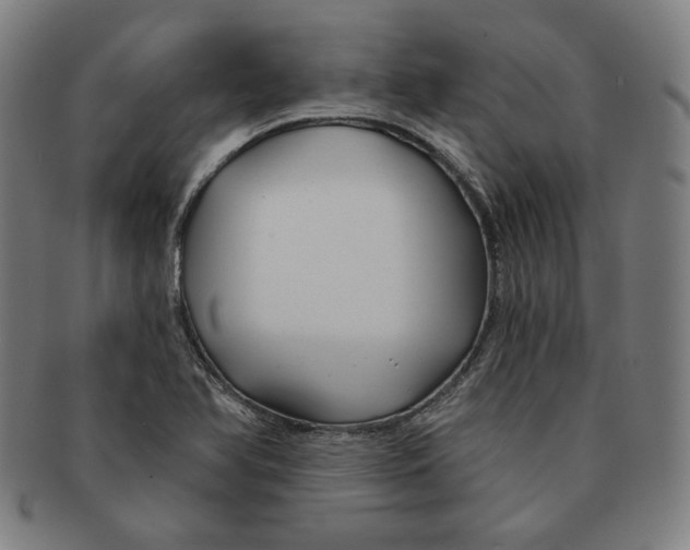 X0000090951366200708301130