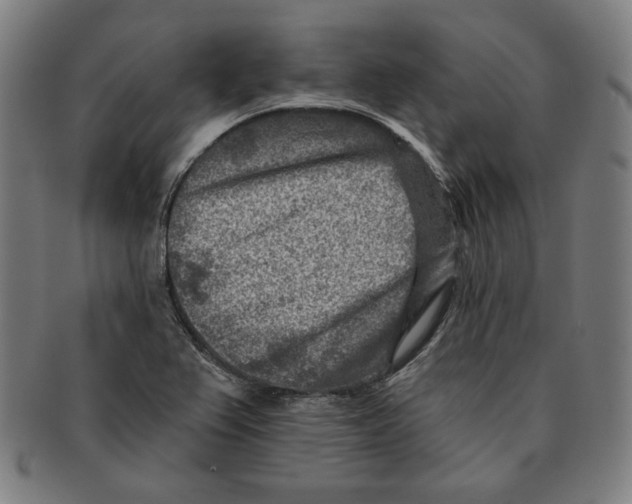 X0000090951367200708301130