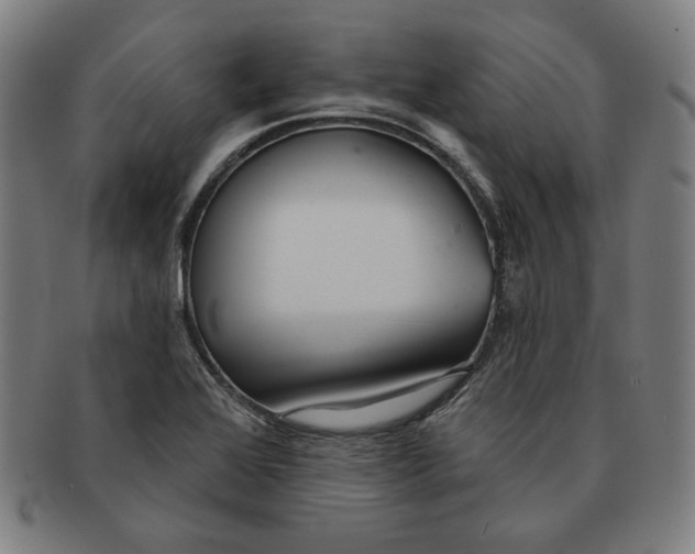 X0000090951368200708301130