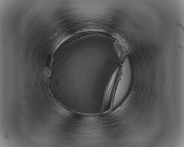 X0000090951369200708301130