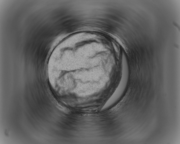 X0000090951371200708301130