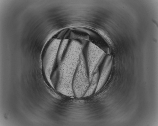 X0000090951372200708301130