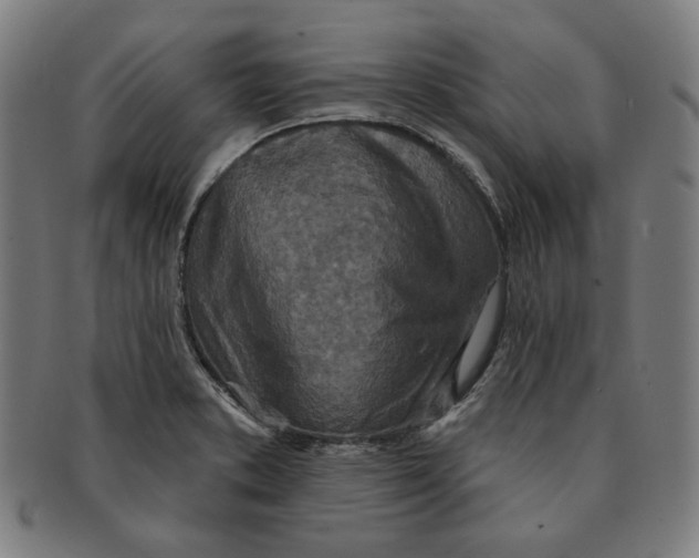 X0000090951373200708301130