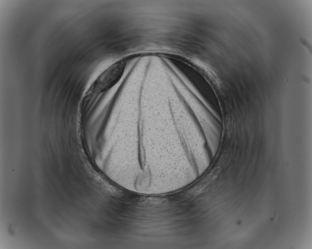 X0000090951374200708301130