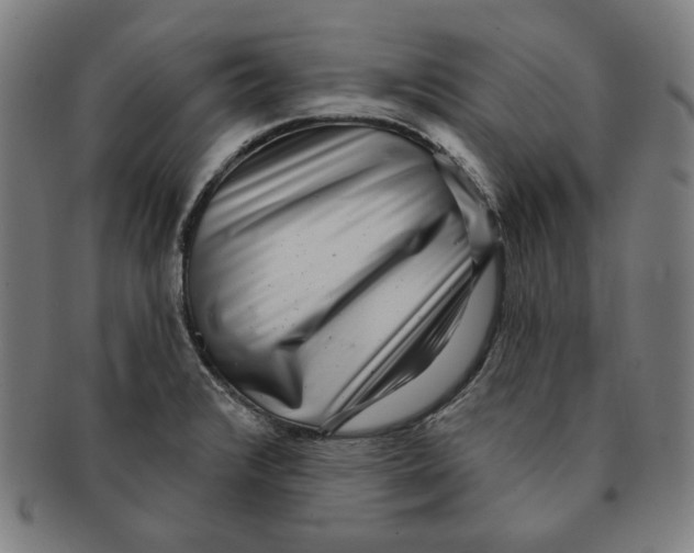 X0000090951376200708301130