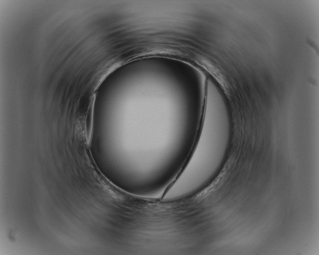 X0000090951377200708301130