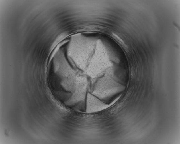 X0000090951378200708301130