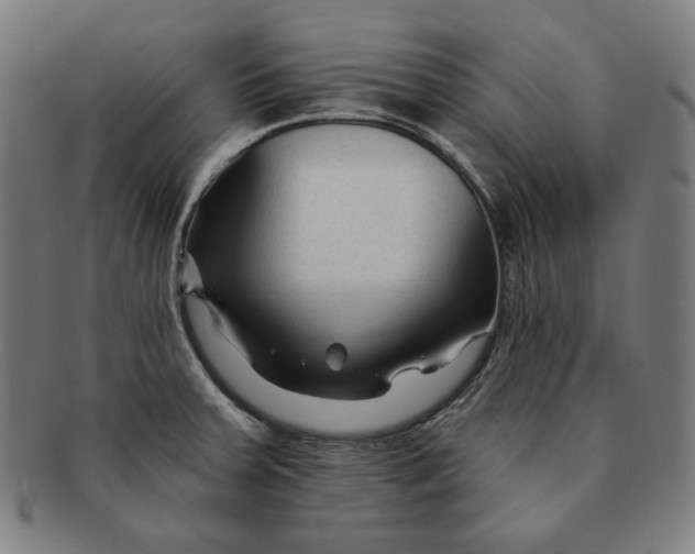 X0000090951379200708301130
