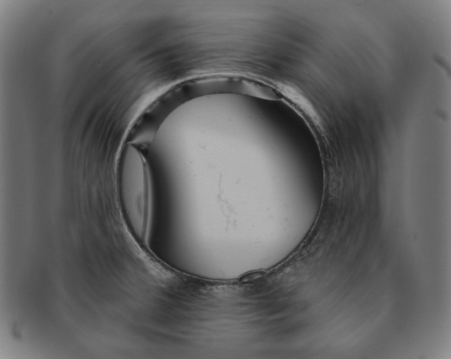 X0000090951380200708301130