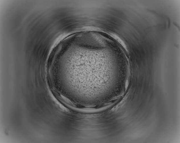 X0000090951381200708301130