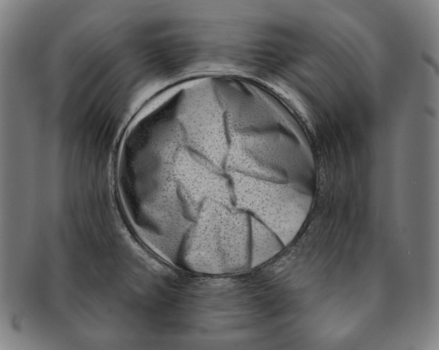 X0000090951382200708301130