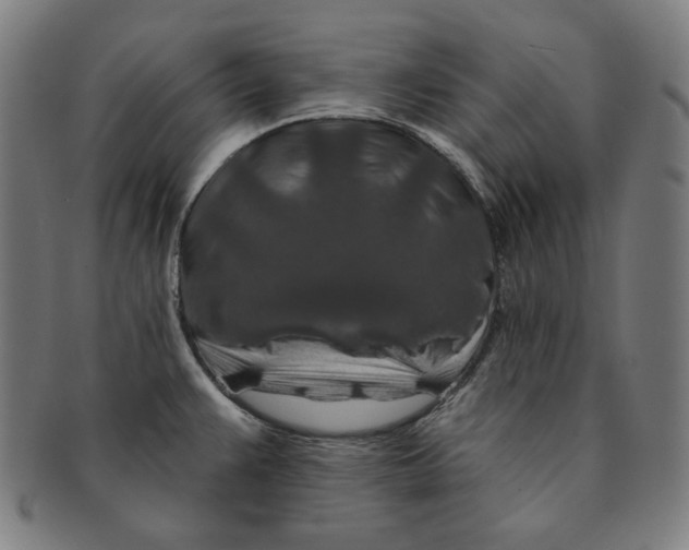X0000090951383200708301130