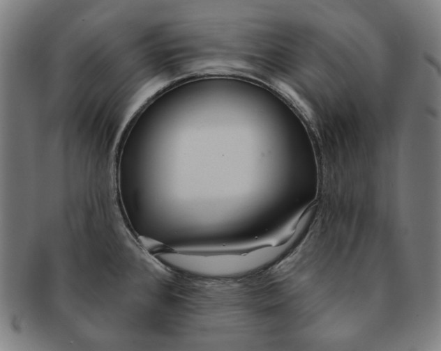 X0000090951384200708301130