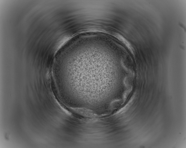 X0000090951385200708301130
