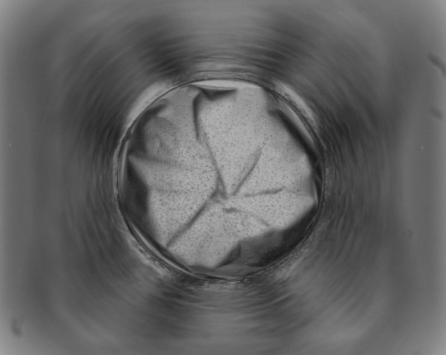 X0000090951386200708301130
