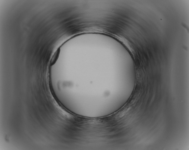 X0000090951387200708301130