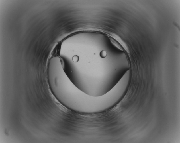 X0000090951388200708301130