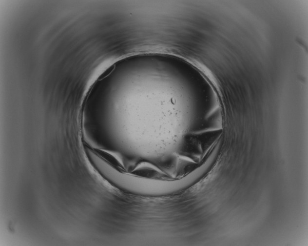 X0000090951389200708301130
