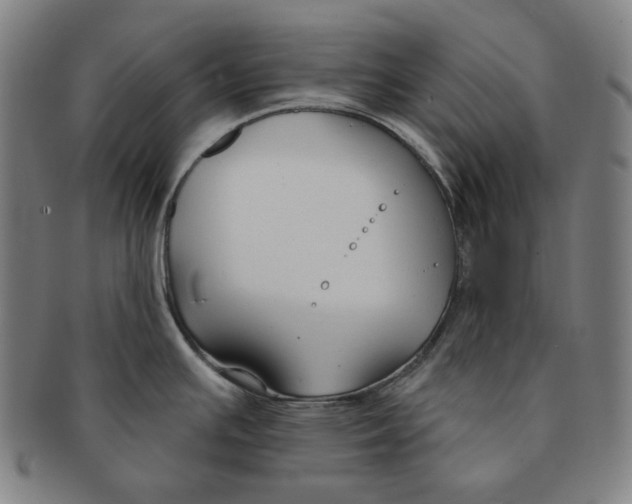 X0000090951391200708301130