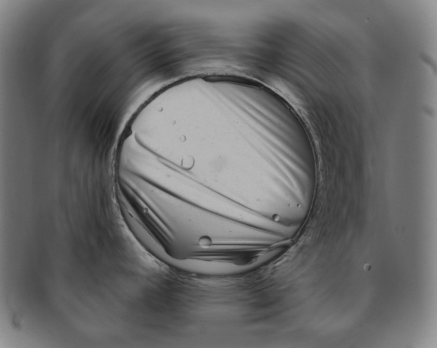 X0000090951392200708301130