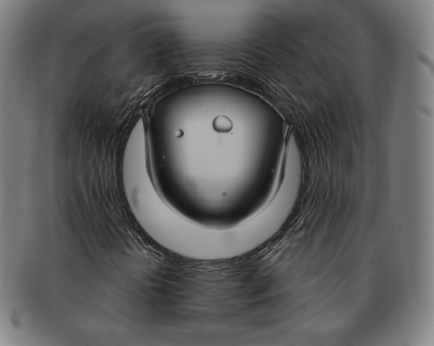 X0000090951394200708301129