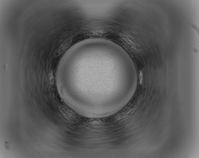 X0000090951395200708301129