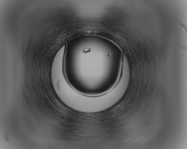 X0000090951396200708301129