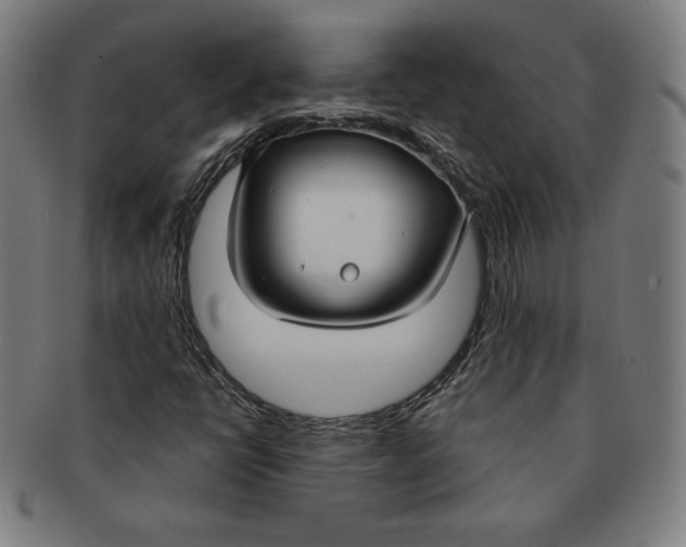 X0000090951398200708301129