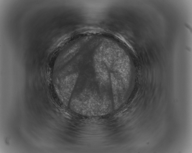 X0000090951399200708301129