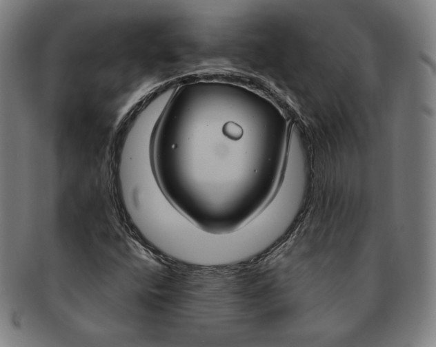 X0000090951400200708301129