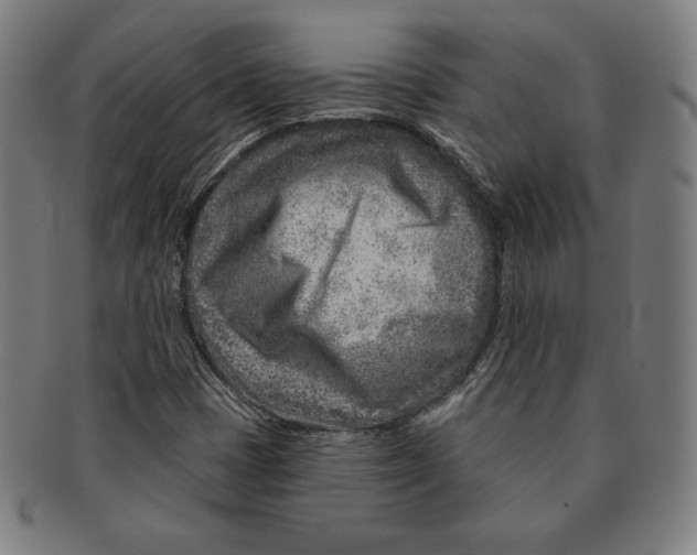 X0000090951401200708301129