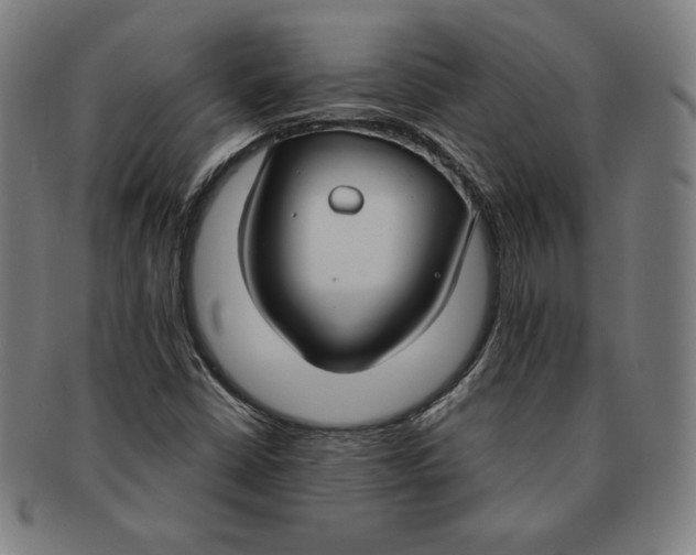 X0000090951402200708301129