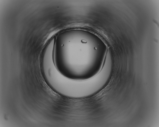 X0000090951404200708301129