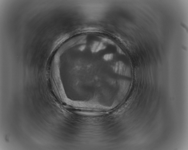 X0000090951405200708301129
