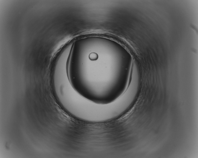 X0000090951406200708301129