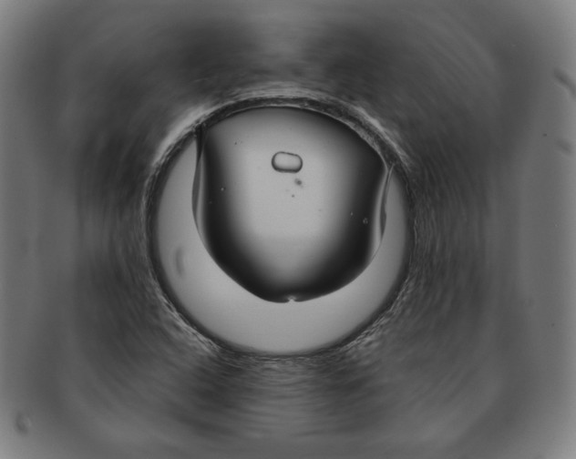 X0000090951408200708301129