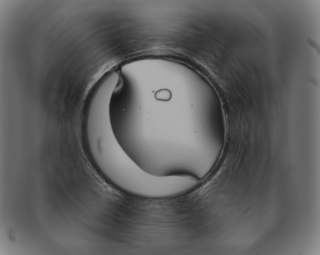 X0000090951410200708301129