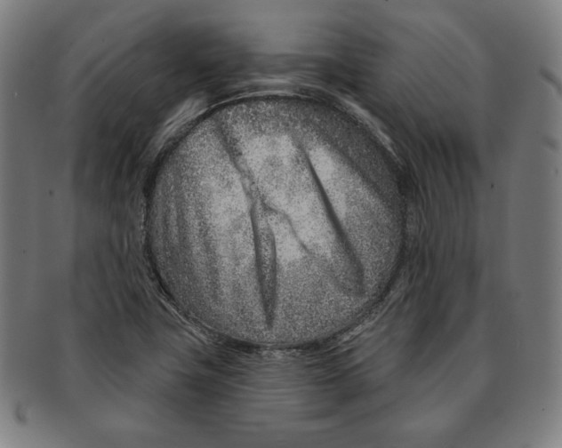 X0000090951411200708301129