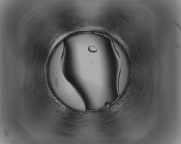 X0000090951412200708301129