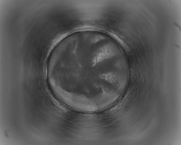 X0000090951413200708301129